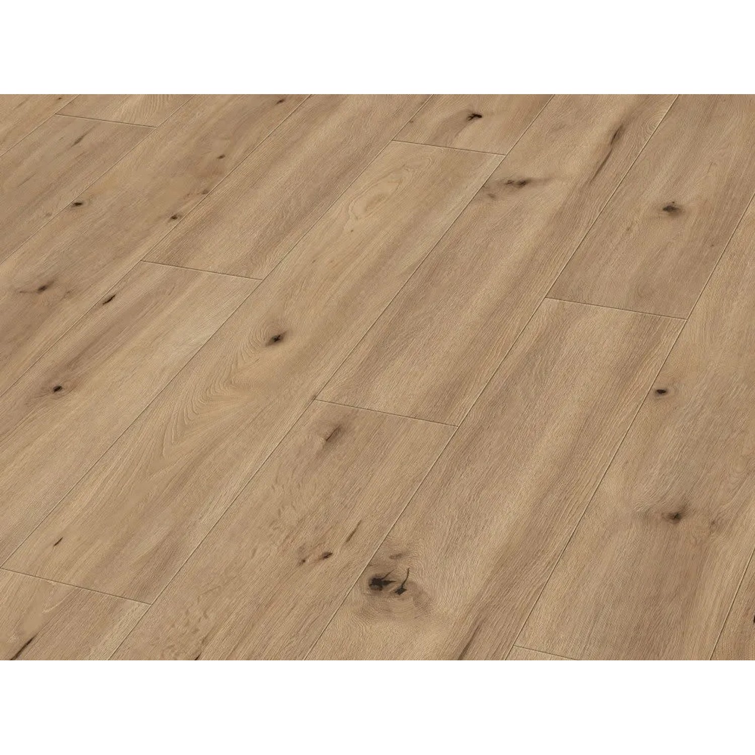 Meister Designboden DD 400 Feldeiche Hell 6843 Landhausdiele