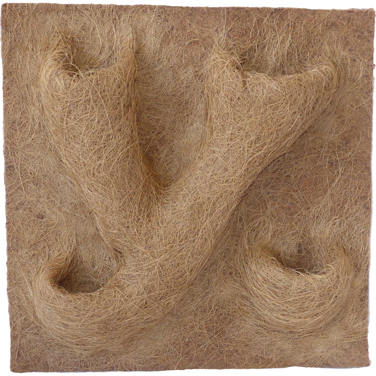 Kokosfaser Rückwand 50x50 cm für Terrarien mit 4 Pflanzmulden.