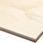 Multiplex Birke Platte, 300x150x1,8cm, braun, für Möbelbau & Regalböden.