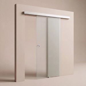 Doorlegro Glasschiebetür 1-flügelig Satiniert 1.025 mm x 2.175 mm Silber