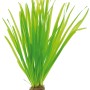Dennerle Vallisneria Spiralis Aquariumpflanze mit langen, grünen Blättern.