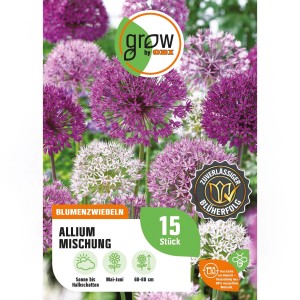 Allium-Mischung von GROW by OBI, 15 Blumenzwiebeln mit lila und weißen Blüten.