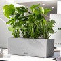 Lechuza Balconera Stone 50, steingrauer Blumenkasten mit Pflanzen auf einem Tisch.