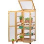 Dobar Anzuchtschrank Dome aus FSC®-Holz, mit Pflanzen und geöffneten Türen/Deckel.