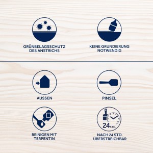 Symbole der Bondex Holzlasur für Außen: Grünbelagschutz, kein Grundieren, Außen, Pinsel, Reinigung, Überstreichbar nach 24h.