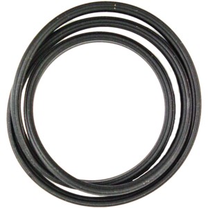 Tetra Dichtungsring EX 400-800 Plus für Aquarium Außenfilter