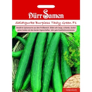 Dürr Samen Salatgurken Burpless Tasty Green F1 Saatgut