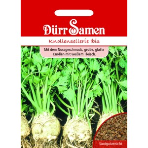 Dürr Samen Knollensellerie Ibis: Saatgut für glatte, runde Sellerieknollen mit weißem Fleisch.