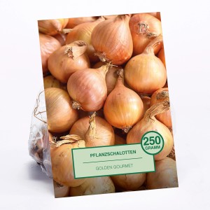 Pflanzschalotten Golden Gourmet, 250g, im Beutel. Ideal zum Anpflanzen im Garten.