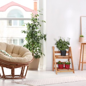 Klappbare Blumentreppe aus hellem Tannenholz mit 2 Ebenen. Dekoratives Pflanzenregal für Blumen und Töpfe im Wohnzimmer.