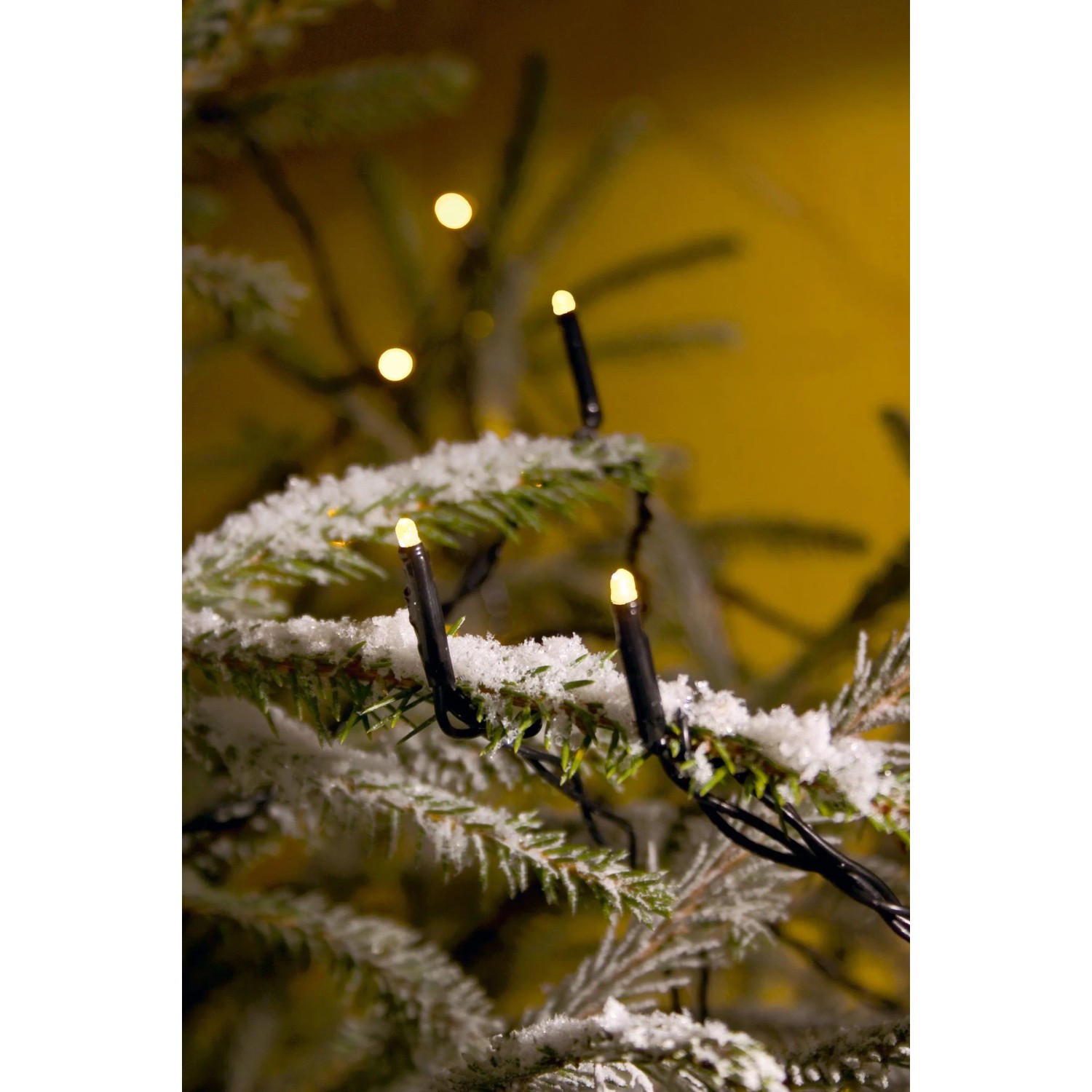 Konstsmide Micro LED Lichterkette mit 40 warm-weißen Dioden auf einem schneebedeckten Ast.