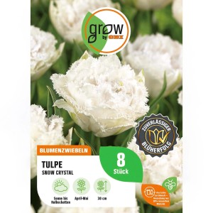 GROW by OBI Tulpe Snow Crystal, satin-weiße, gefüllte Blüten, 8 Stück Blumenzwiebeln.