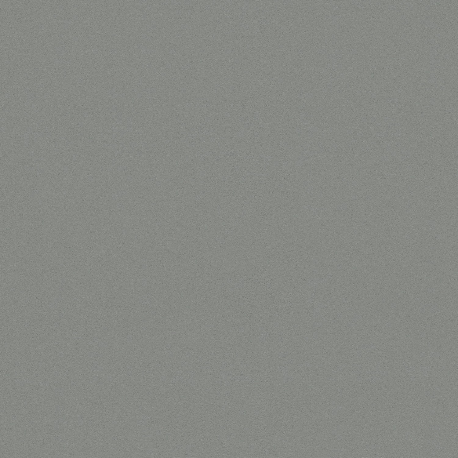 Bricoflor Moderne Küchentapete Grau Vlies Unitapete in Dunkelgrau Ideal für Küche und Schlafzimmer Einfarbige Vliestapet
