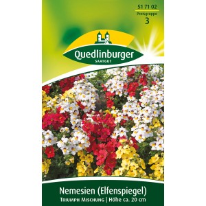 Quedlinburger Nemesie Elfenspiegel 'Triumph Mischung' Blumensamen mit roten, gelben und weißen Blüten.