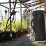 Arves Regentonne Little Tree, 250 l, dunkelbraun, mit Baumrinden-Optik im Garten.