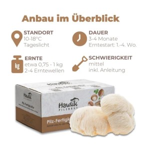 Hawlik Pilzbrut Bio Lion's Mane/Löwenmähne/Hericium Pilzzuchtset Vorbeimpft mit Myzel für den Einfachen Anbau Zuhause