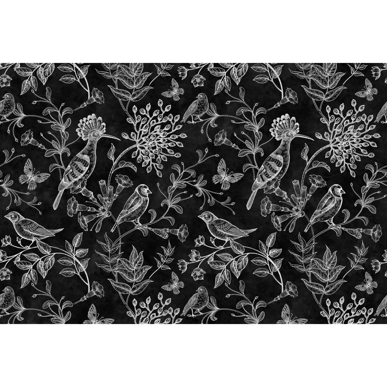 Fototapete Blackboard Blumen Vögel Schwarz Weiß 4,00 m x 2,70 m FSC® günstig online kaufen