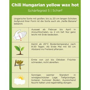 Infografik zu Aussaat, Keimung, Ernte und Standort von "Deine Gartenwelt Chili Hungaria Yellow Wax Hot" Samen.