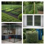 PROREGAL Maschendrahtzaun, grünes Vierkantgeflecht für Garten, Gehege und mehr.