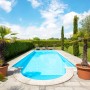 Steinbach Styropor Pool-Set Classic de Luxe 800x400 cm im Garten mit Poolumrandung und Palmen.