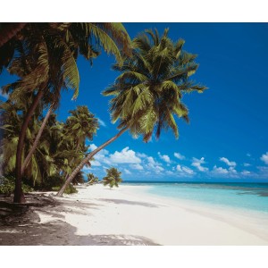 Komar Fototapete Vlies Maldives, 300x250 cm, mit Palmenstrand und türkisblauem Meer.