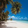 Komar Fototapete Vlies Maldives, 300x250 cm, mit Palmenstrand und türkisblauem Meer.