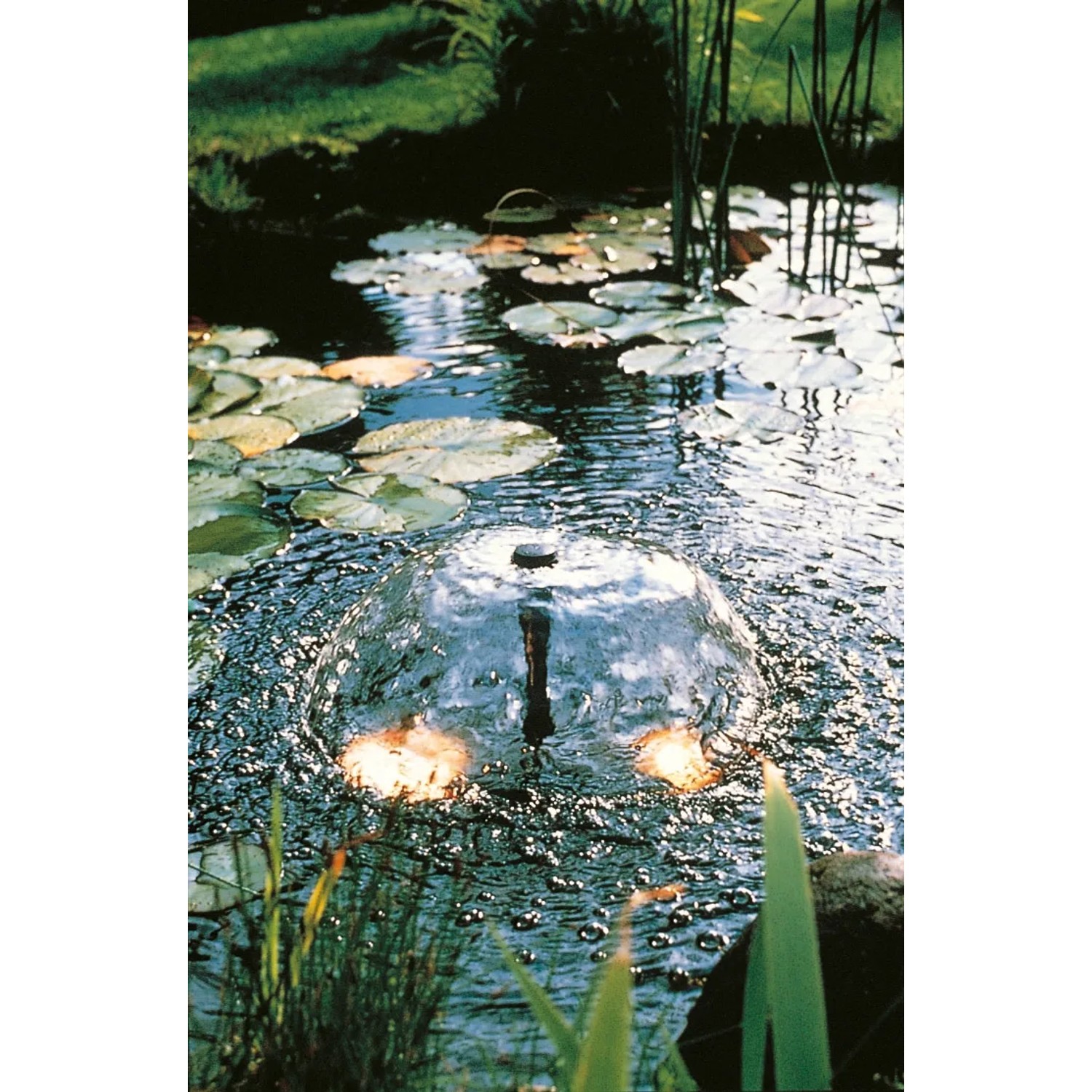Ubbink Elimax 2500 Springbrunnenpumpe im Gartenteich mit Fontäne und Seerosen.
