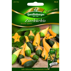 Samenpackung Quedlinburger Zierkürbis 'Bicolor Spoon' mit gelb-grünen Kürbissen.