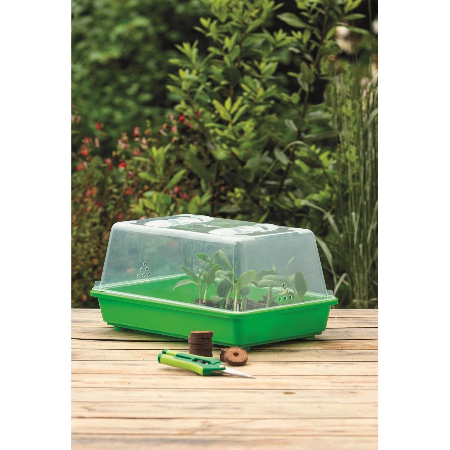 Romberg Gewächshaus M mit Pflanzen, Kokos-Quelltabletten und Pikierstab auf Holztisch.