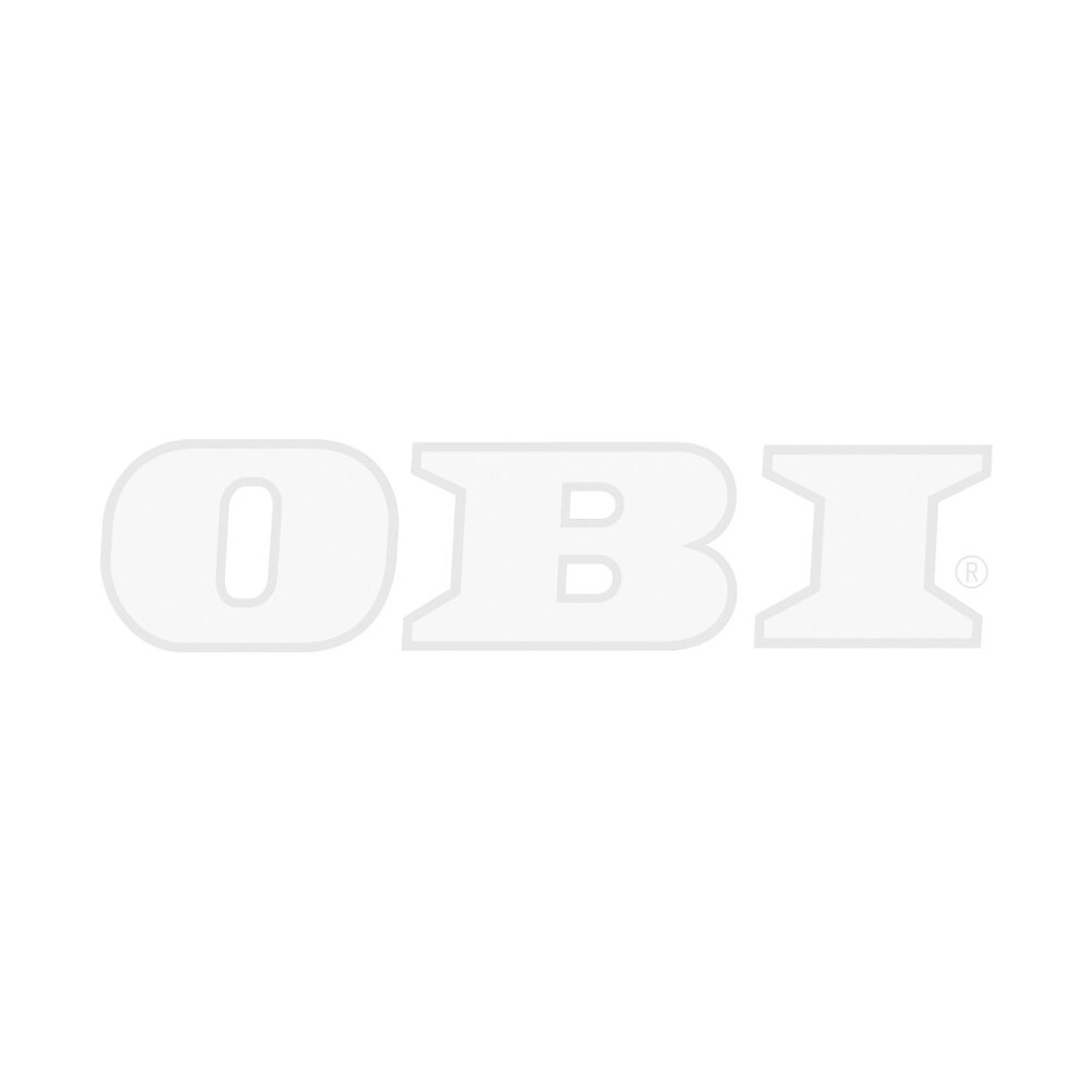 bei Biohort Quarzgrau-Metallic OBI Doppeltür Neo 1B kaufen Gerätehaus