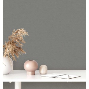 Anthrazitfarbene Bricoflor Vliestapete ohne Vinyl, einfarbig dunkelgrau. Dekorative Wandgestaltung für Büro und Schlafzimmer.