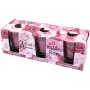 HS Candle Duftkerzen Classic, 3er Pack Wilde Rose im dekorativen Rosenkarton.