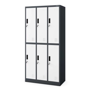JAN NOWAK Kleiderspind IGOR mit 6 Fächern, anthrazit-weiß, für Büro und Werkstatt.
