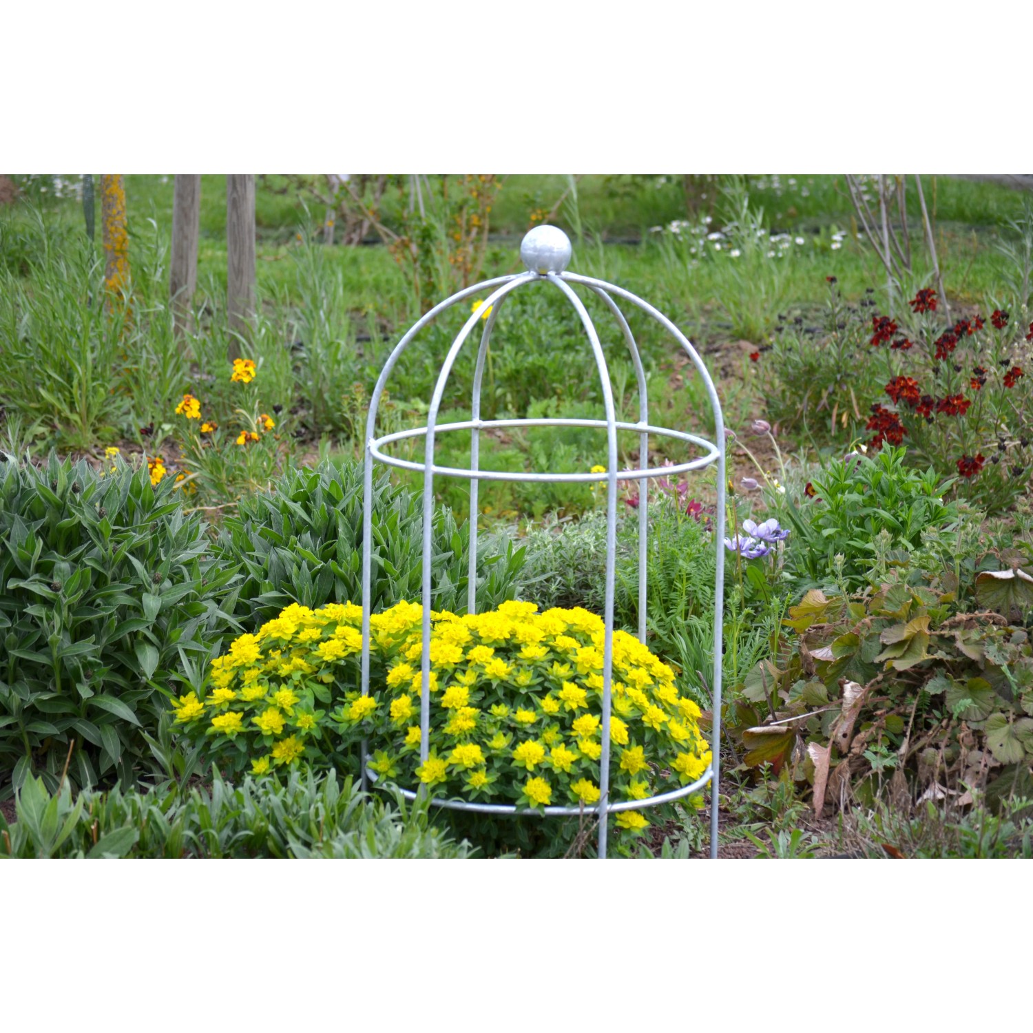blumenkasten komplettset Balconera balkonkasten mit Bewsserungssystem 80 cm  Balconyliving.de