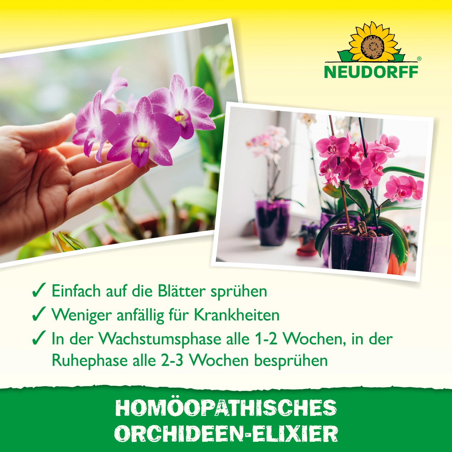 Neudorff Orchideen-Elixier: Pflanzenstärkung für prächtige Orchideenblüten.