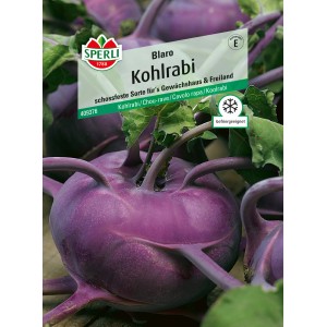 Sperli Kohlrabi Blaro, violette Knolle mit grünen Blättern. Gemüsesamen für den frühen Anbau.