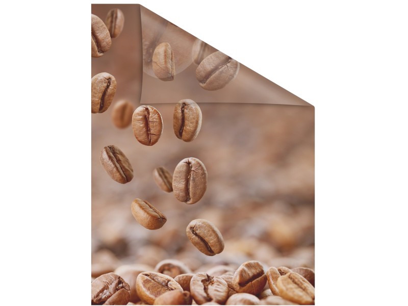 Lichtblick Fensterfolie selbstklebend mit Sichtschutz Kaffeebraun kaufen  bei OBI