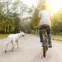 Relaxdays Fahrradleine für Hunde Nylon/Stahl Gelb mit Abstandhalter Verstellbar 47 cm x 21,5 cm x 5 cm 2 kg_5