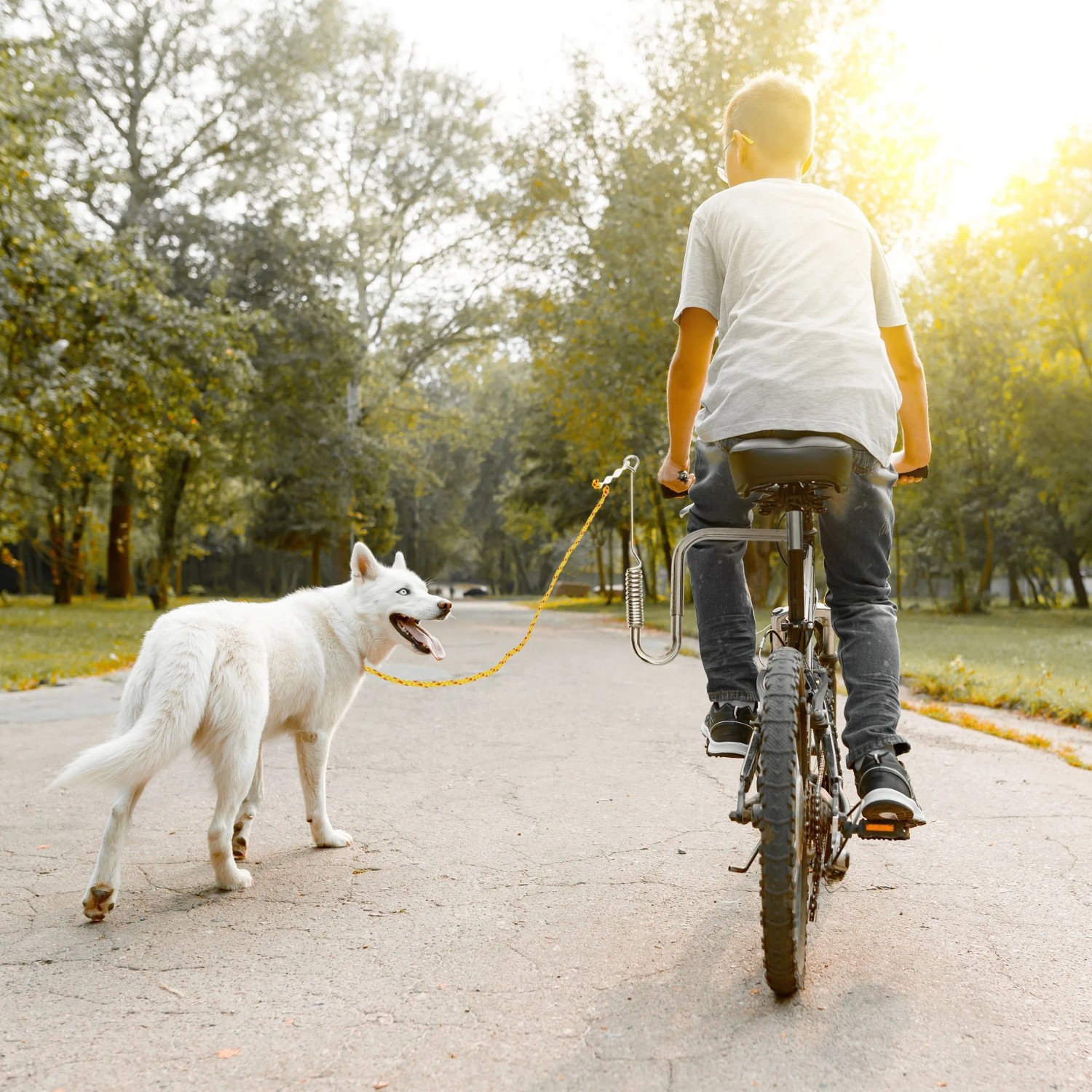 Relaxdays Fahrradleine für Hunde Nylon/Stahl Gelb mit Abstandhalter Verstellbar 47 cm x 21,5 cm x 5 cm 2 kg_5