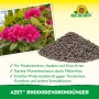 Neudorff Azet Rhododendron-Dünger 1 kg: Rhododendron mit pinken Blüten und Dünger-Granulat.