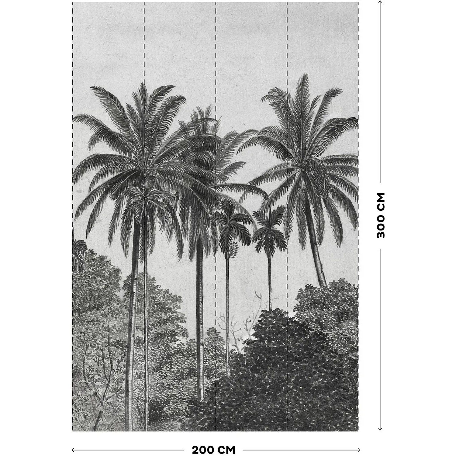 Art for the Home Fototapete Palmen, 300x200 cm, schwarz-weißes Palmenmotiv für Wandgestaltung.