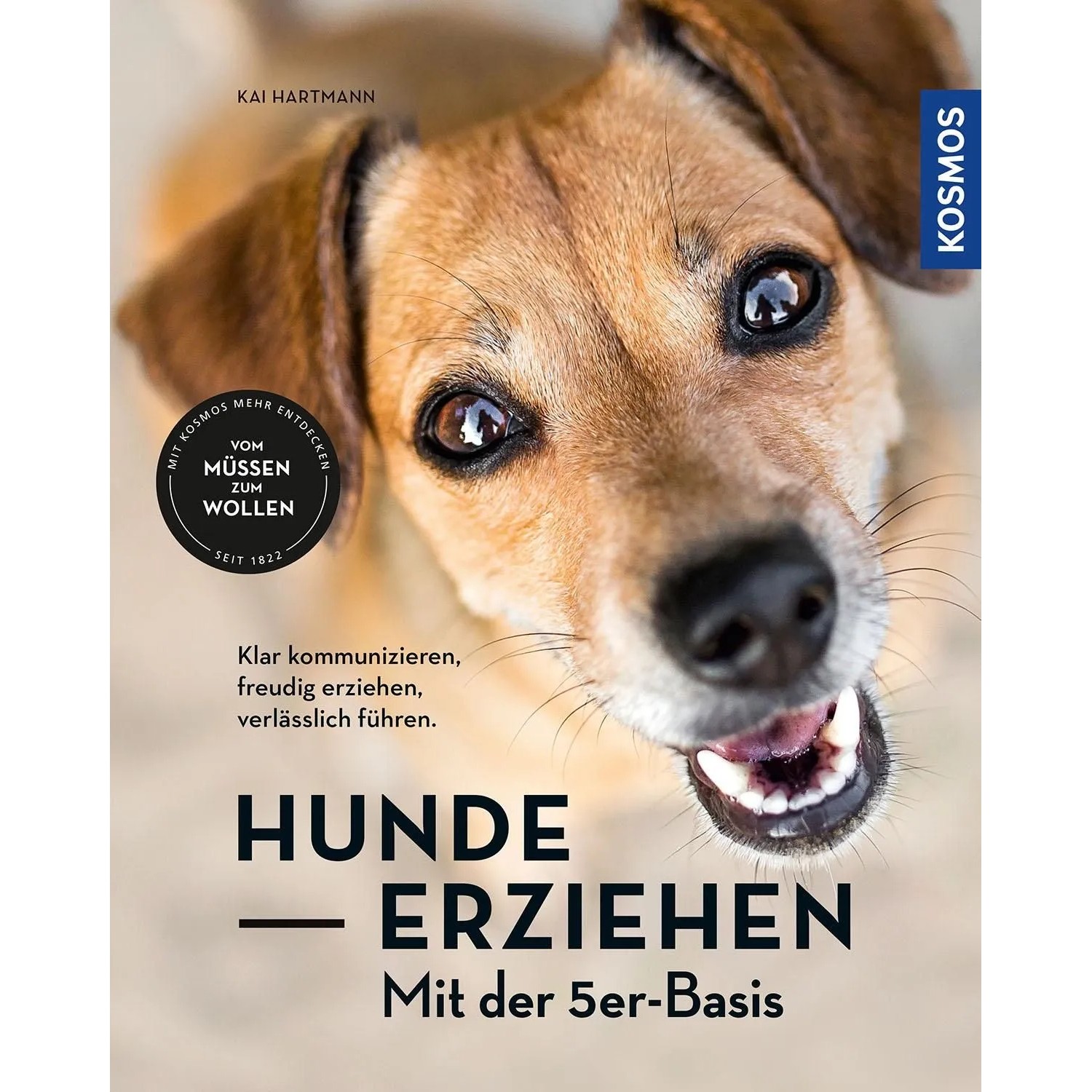 Thumbnail - Hunde erziehen - mit der 5er-Basis