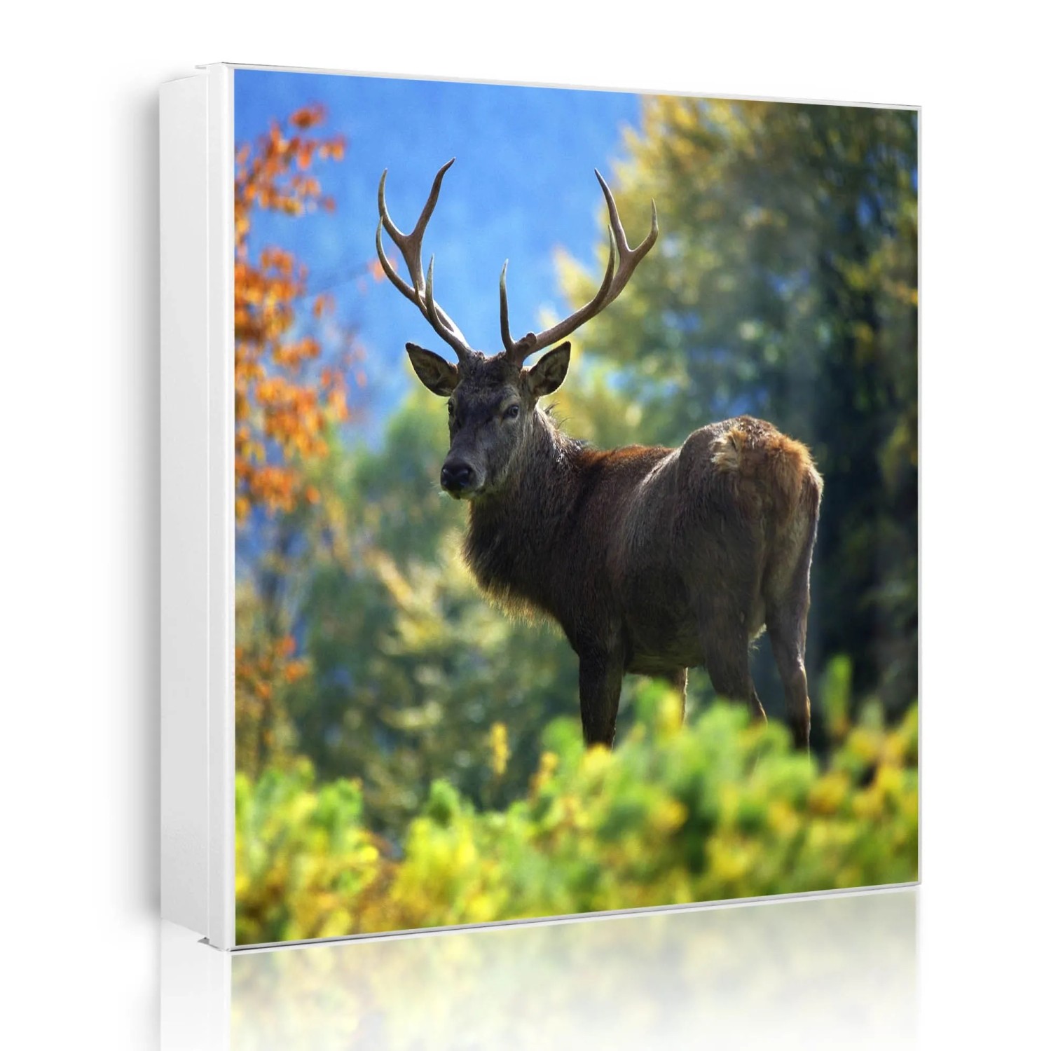 Banjado Großer Schlüsselkasten Metall 30x30cm Weiß Scharnier Links 50 Haken Beschreibbar Magnetisch Motiv Hirsch