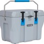 Graue Lifetime Kühlbox, 26,5 Liter, mit blauem Griff und schwarzen Verschlüssen. Ideal für Camping.