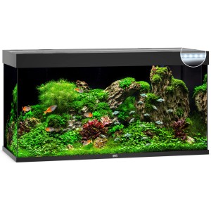Schwarzes Juwel Aquarium-Set Rio LED 350 l, bepflanzt und mit Fischen.