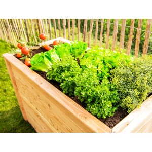 Westmann Hochbeet aus Lärche, bepflanzt mit Salat, Kräutern und Tomaten.