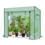 Grünes begehbares Foliengewächshaus mit Schrägdach, Rolltür und Fenstern. Tomaten und Pflanzen wachsen im Haus.