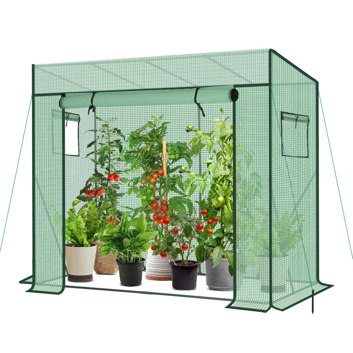 Sekey Schrägdach Foliengewächshaus Tomatenhaus Begehbar 200x77x146-169cm PE-Plane 140 g Pro Quadratmeter Wasserdicht Wetterfest Pflanzenhaus