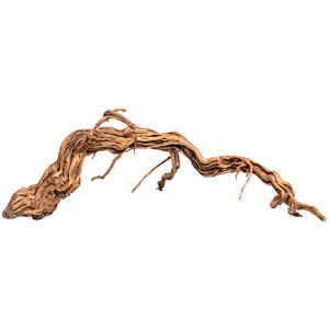 Aquariendeko Curl-Holz S, gedrehtes Naturholz für Aquarium & Terrarium.