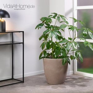 VidaAtHome.de Pflanzkübel VERONA ø 40cm Sand